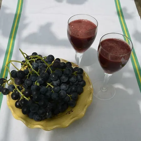 Prázdninový dům Wisteria *