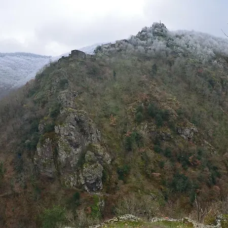 Wistéria * Mazamet